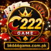 C222 Game
