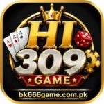 HI309 Game
